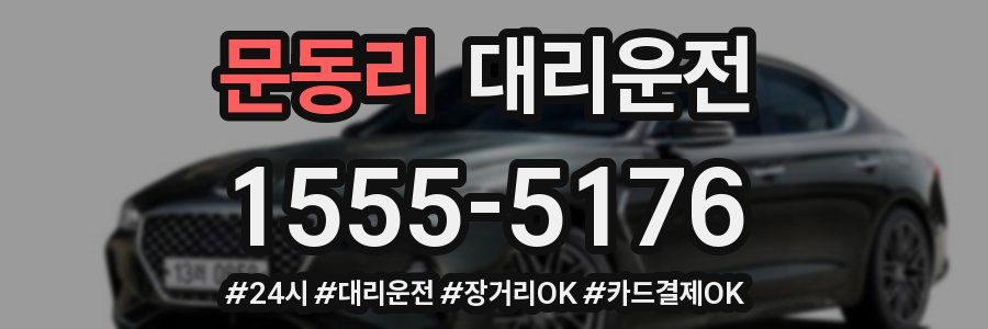 문동리 대리운전