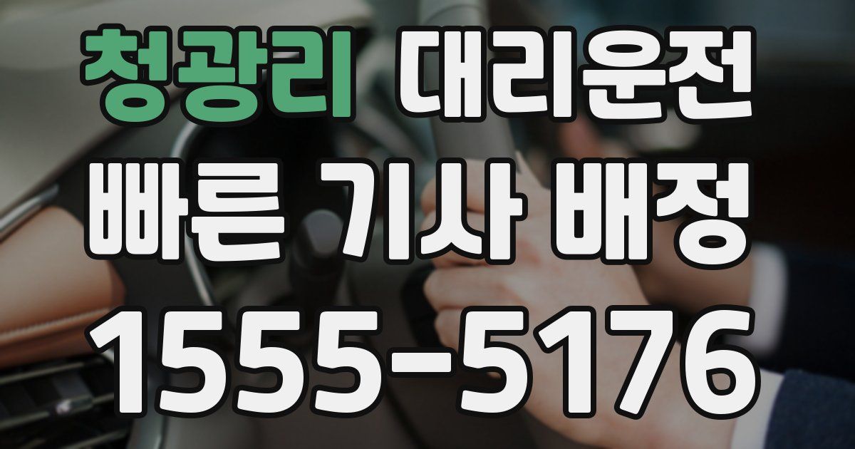 일일대리기사