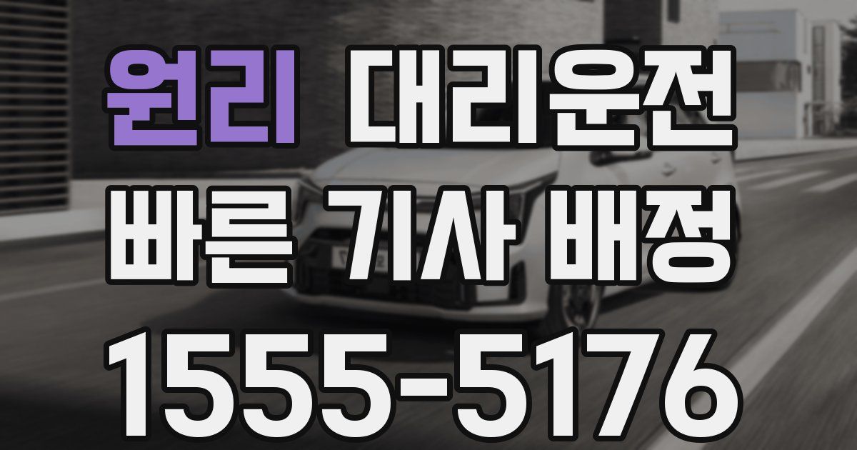 일일대리기사