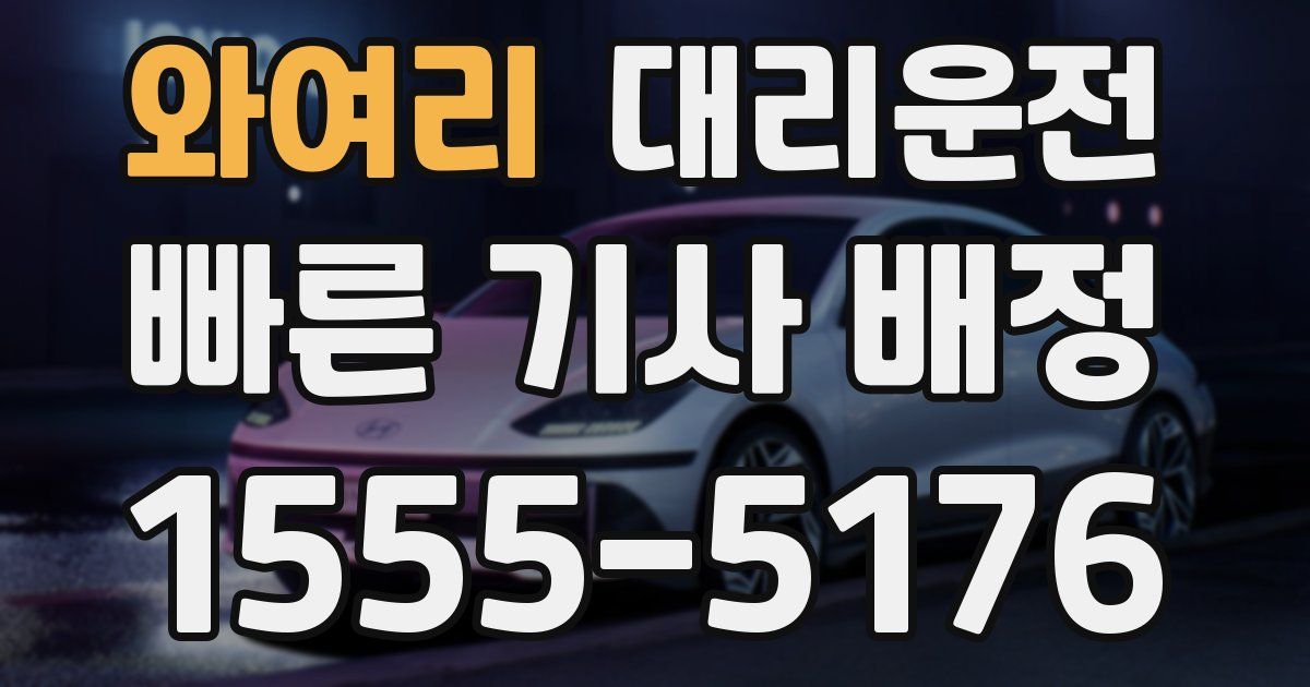 일일대리기사