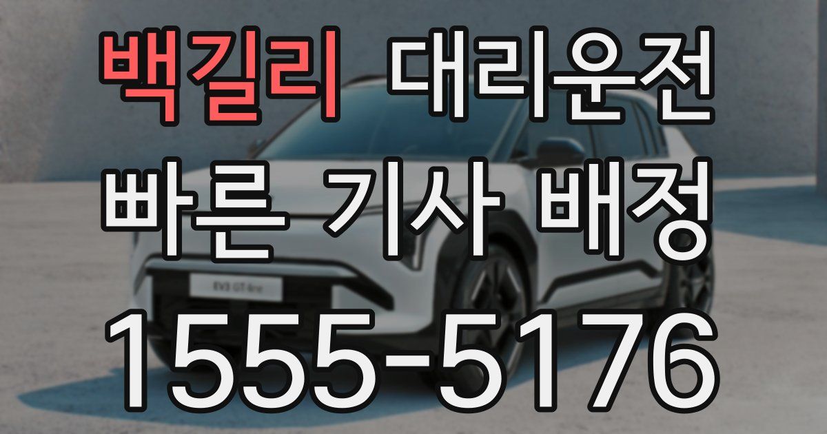 일일대리기사