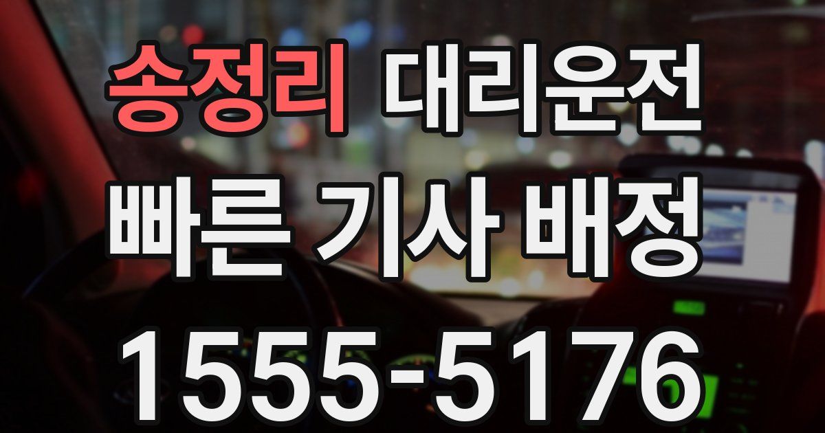 일일대리기사