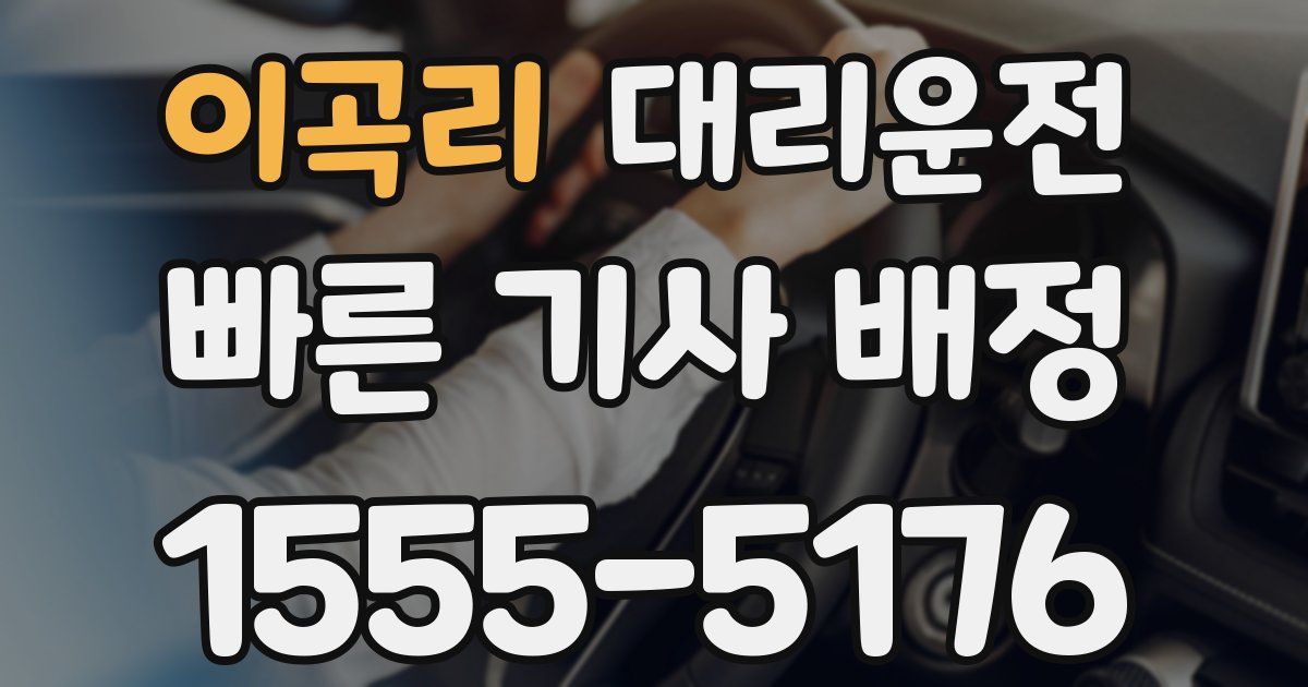 일일대리기사