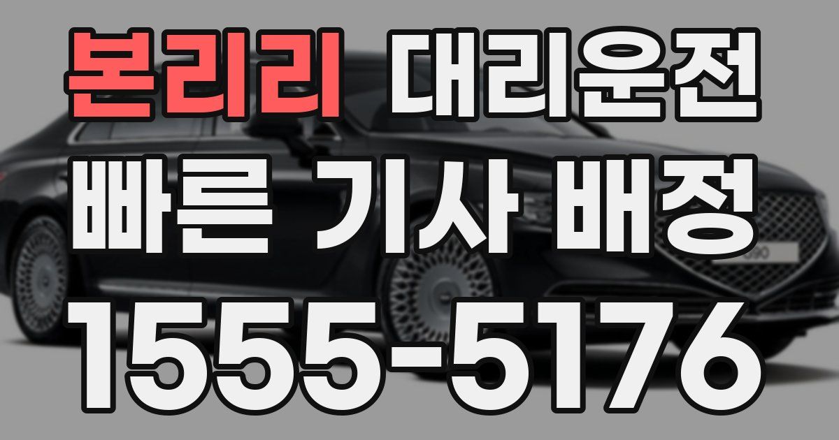 일일대리기사
