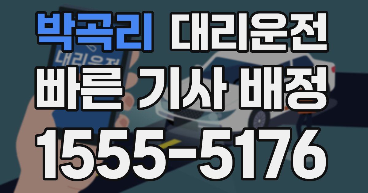 일일대리기사
