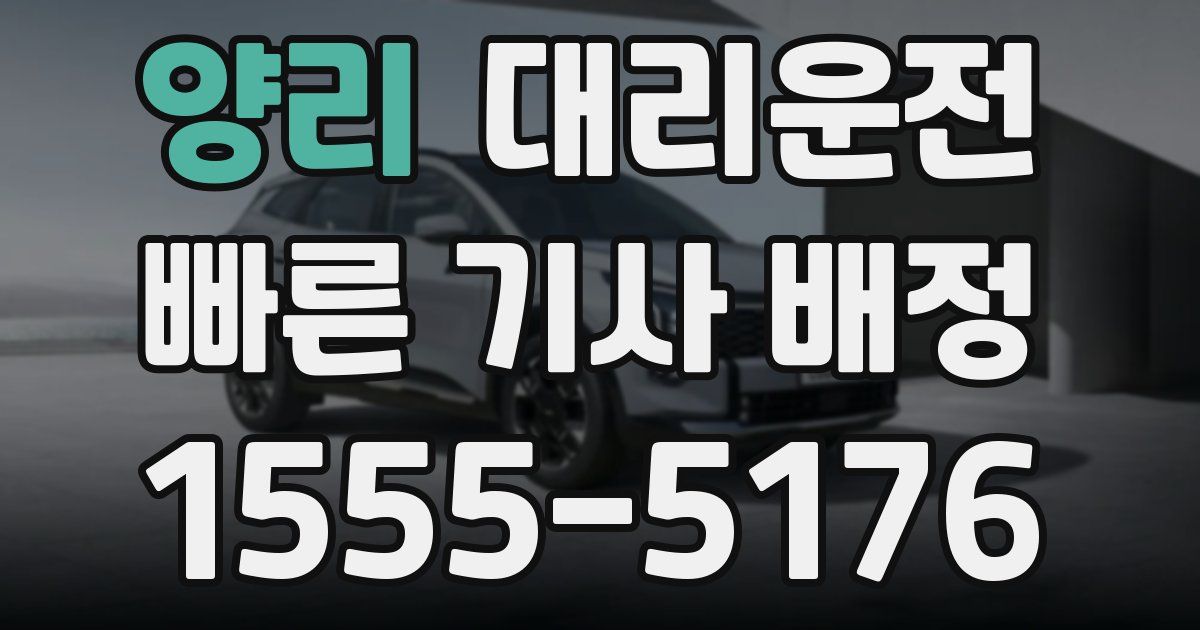 일일대리기사