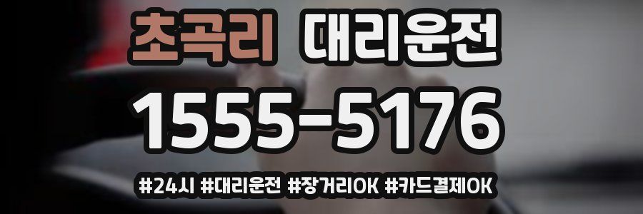 초곡리 대리운전