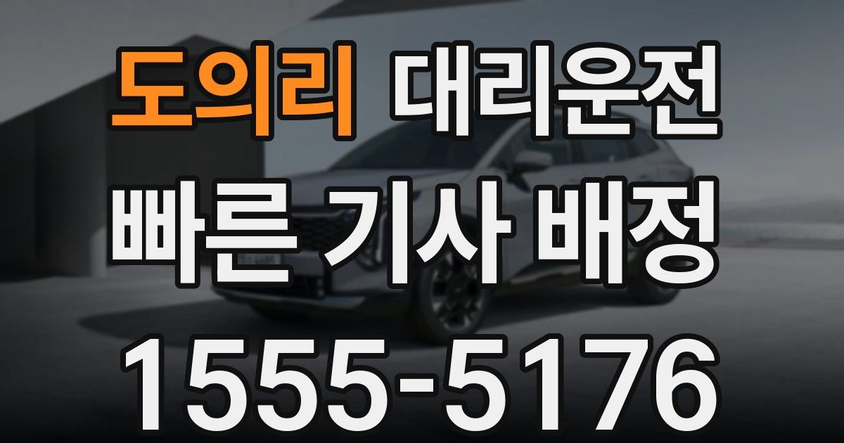 일일대리기사