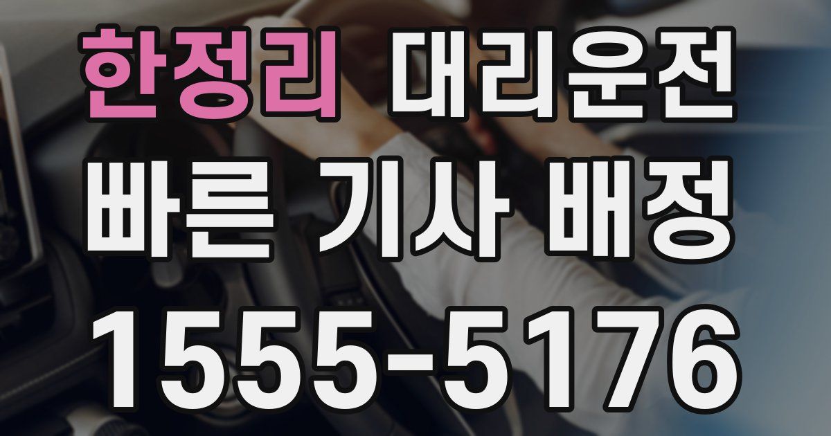 일일대리기사