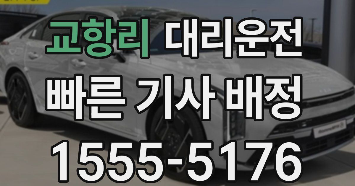 일일대리기사