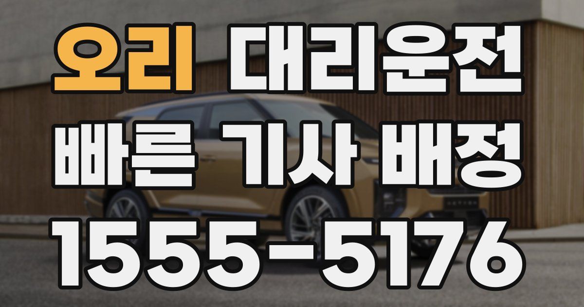 일일대리기사