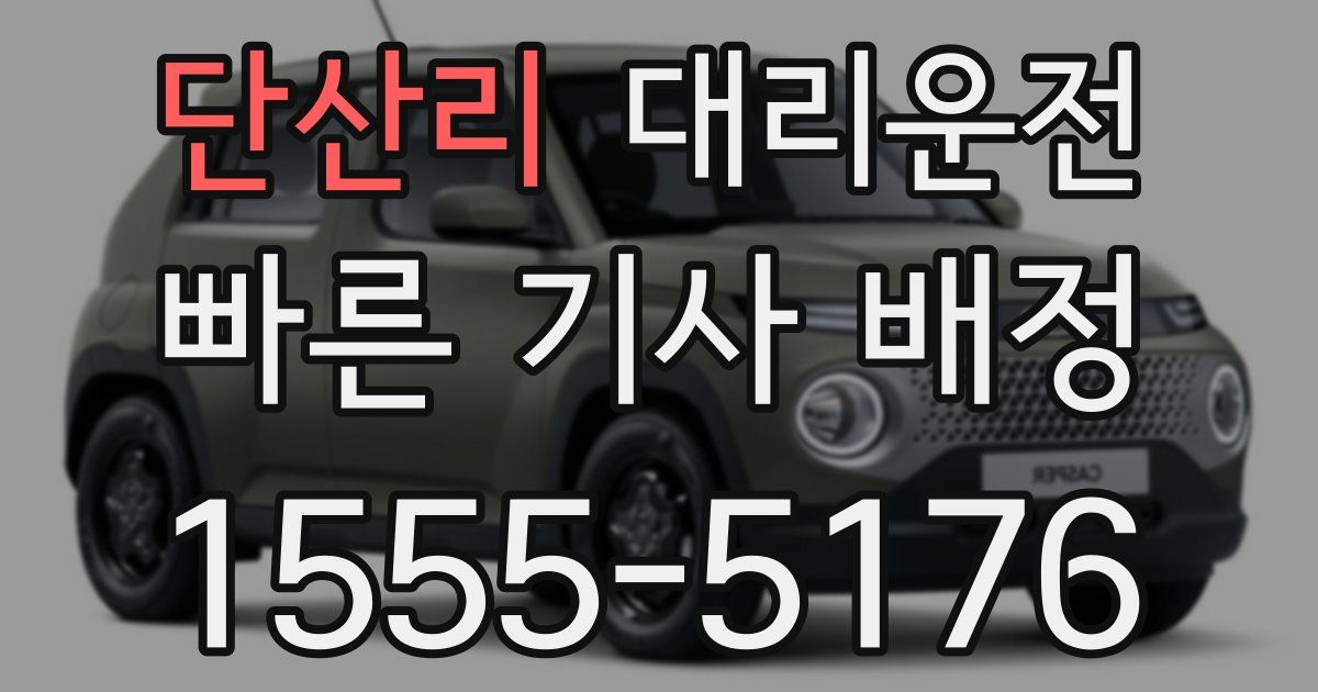 일일대리기사
