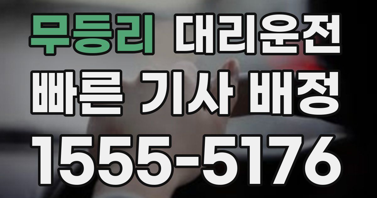 일일대리기사