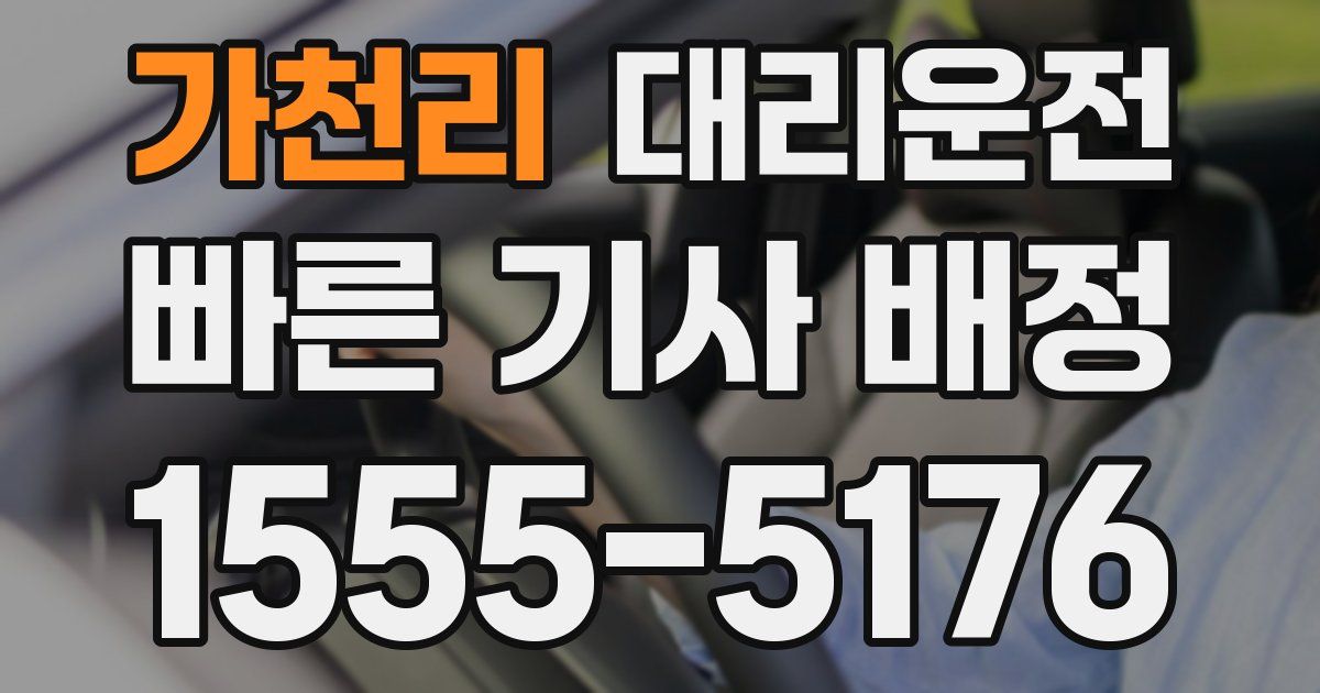일일대리기사