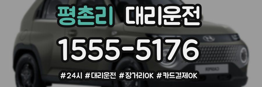 평촌리 대리운전