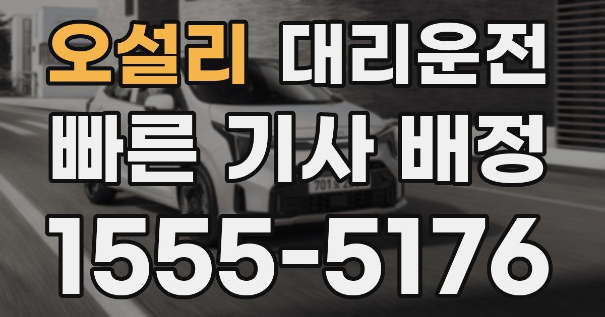 일일대리기사