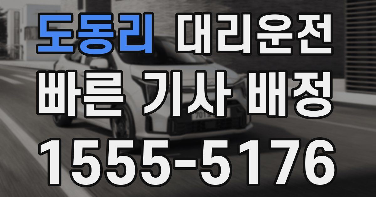 일일대리기사