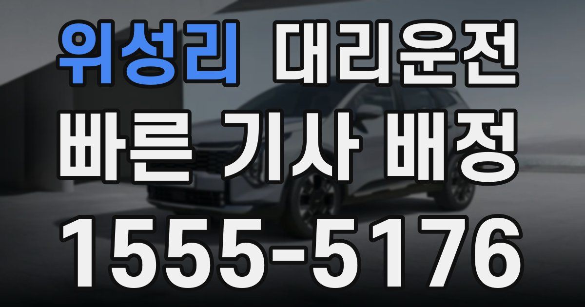 일일대리기사