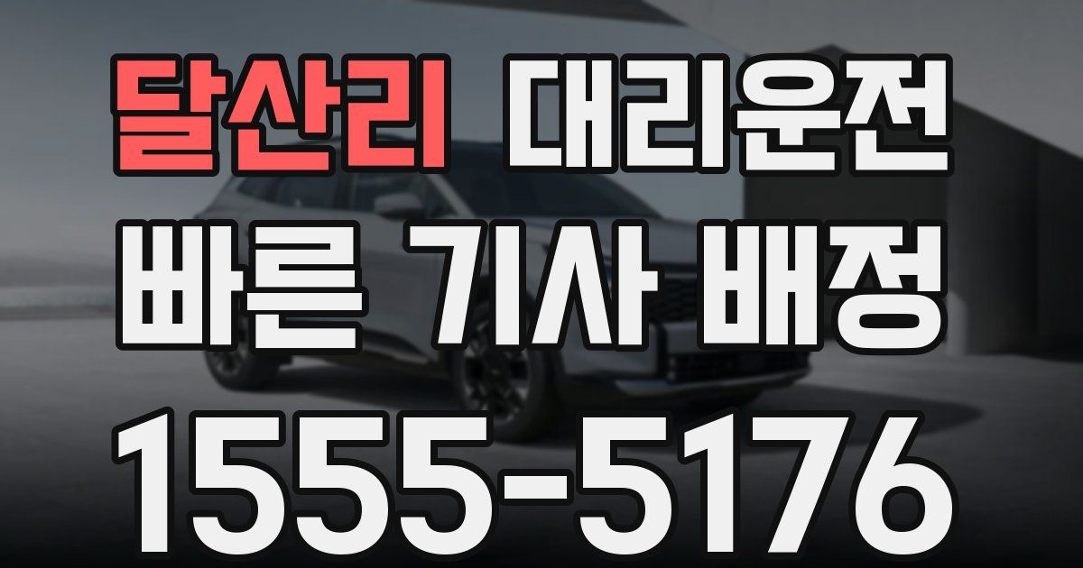 일일대리기사