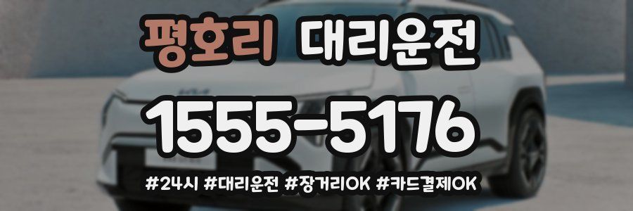 평호리 대리운전