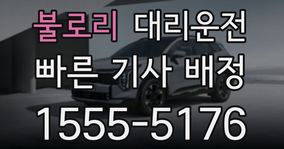 일일대리기사