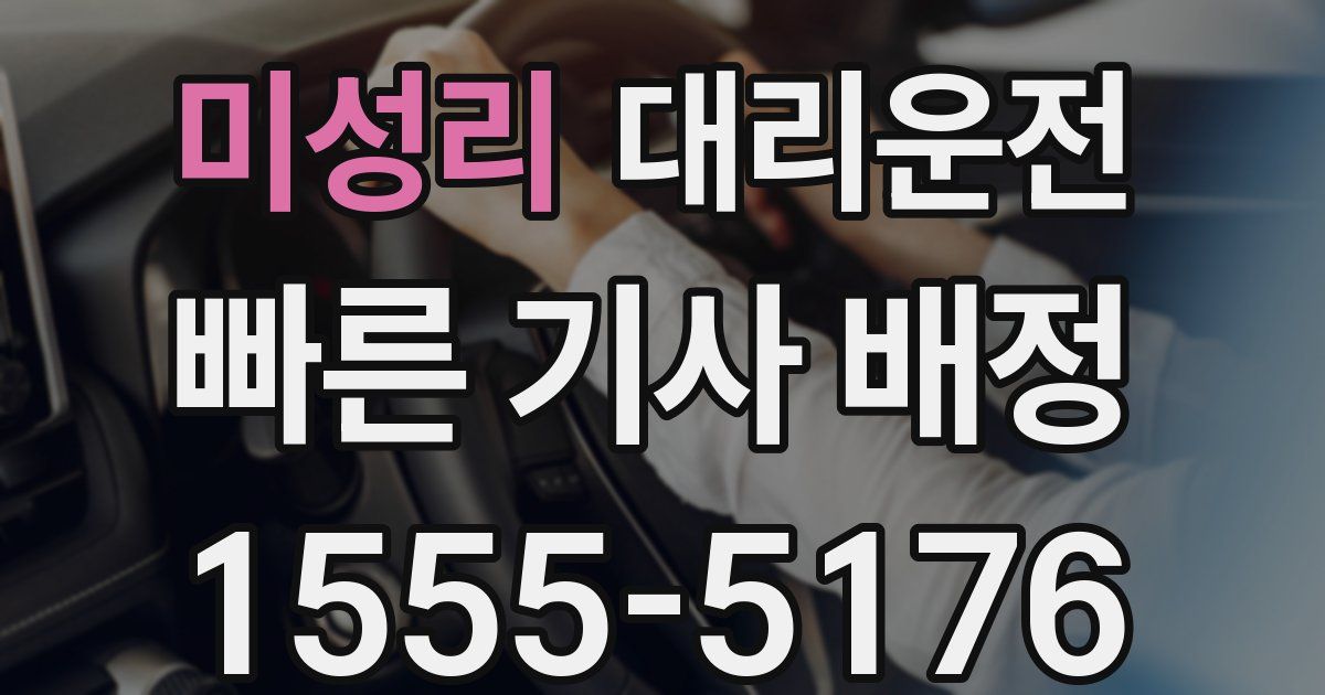 일일대리기사