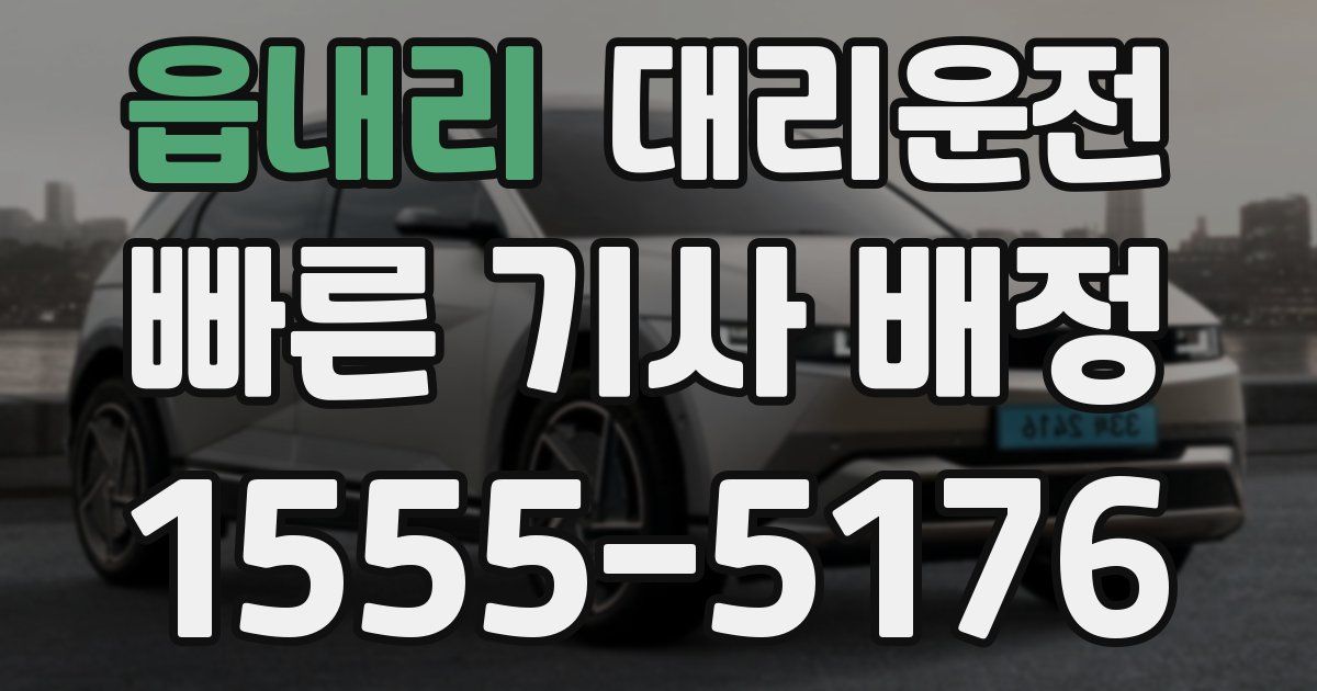 일일대리기사
