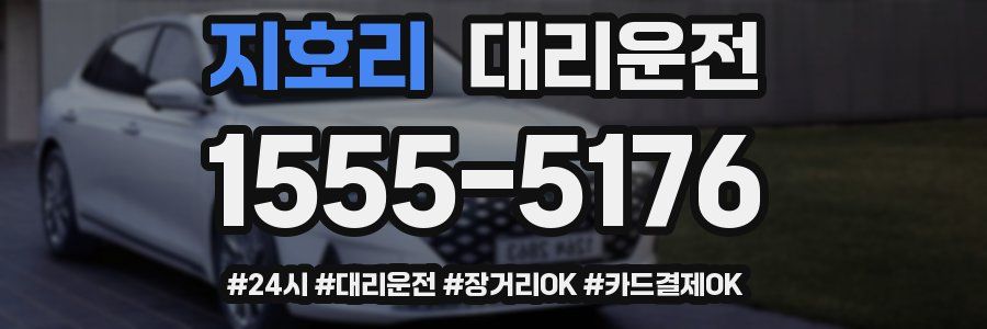 지호리 대리운전