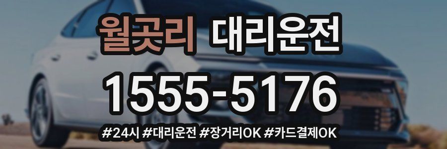 월곳리 대리운전