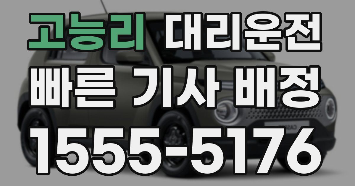 일일대리기사