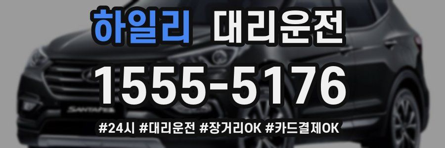 하일리 대리운전