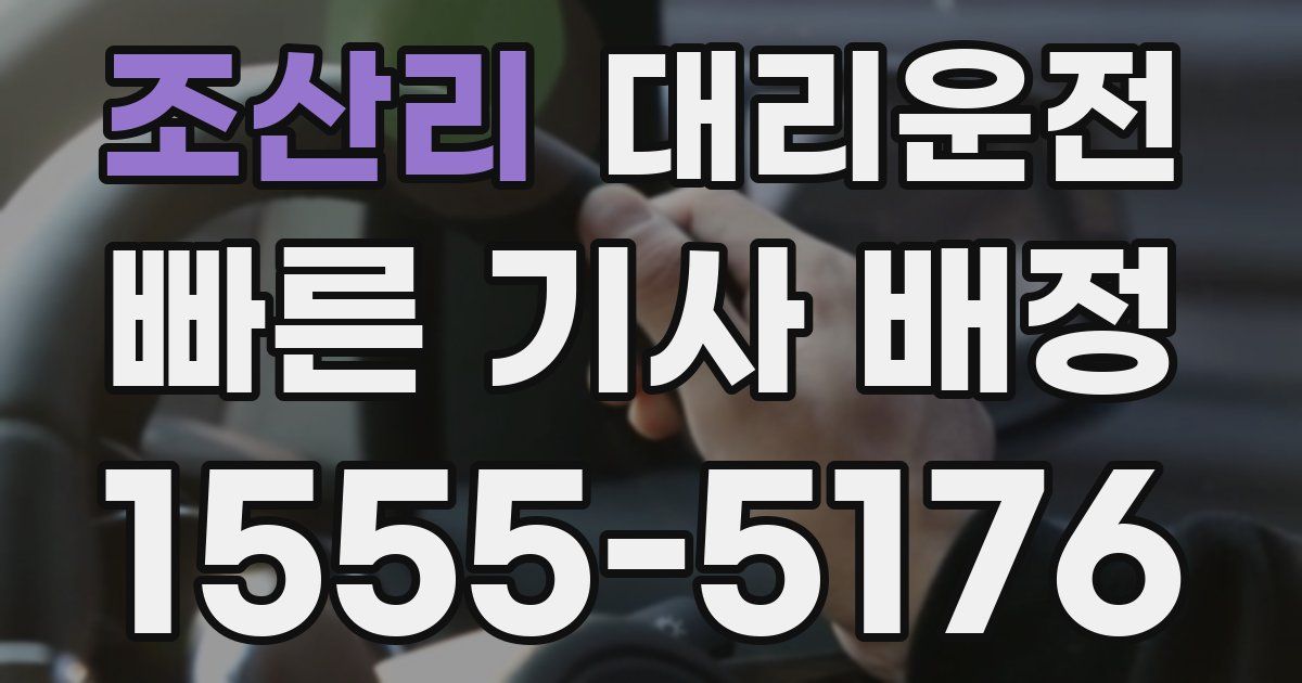 일일대리기사