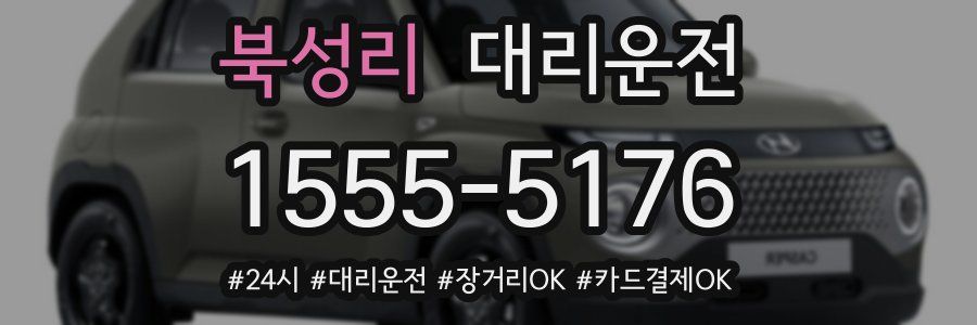 북성리 대리운전