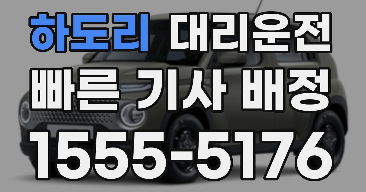 일일대리기사