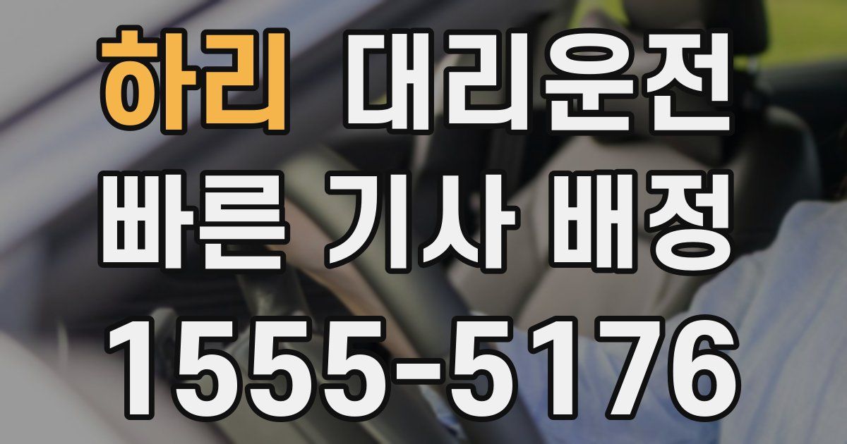 일일대리기사