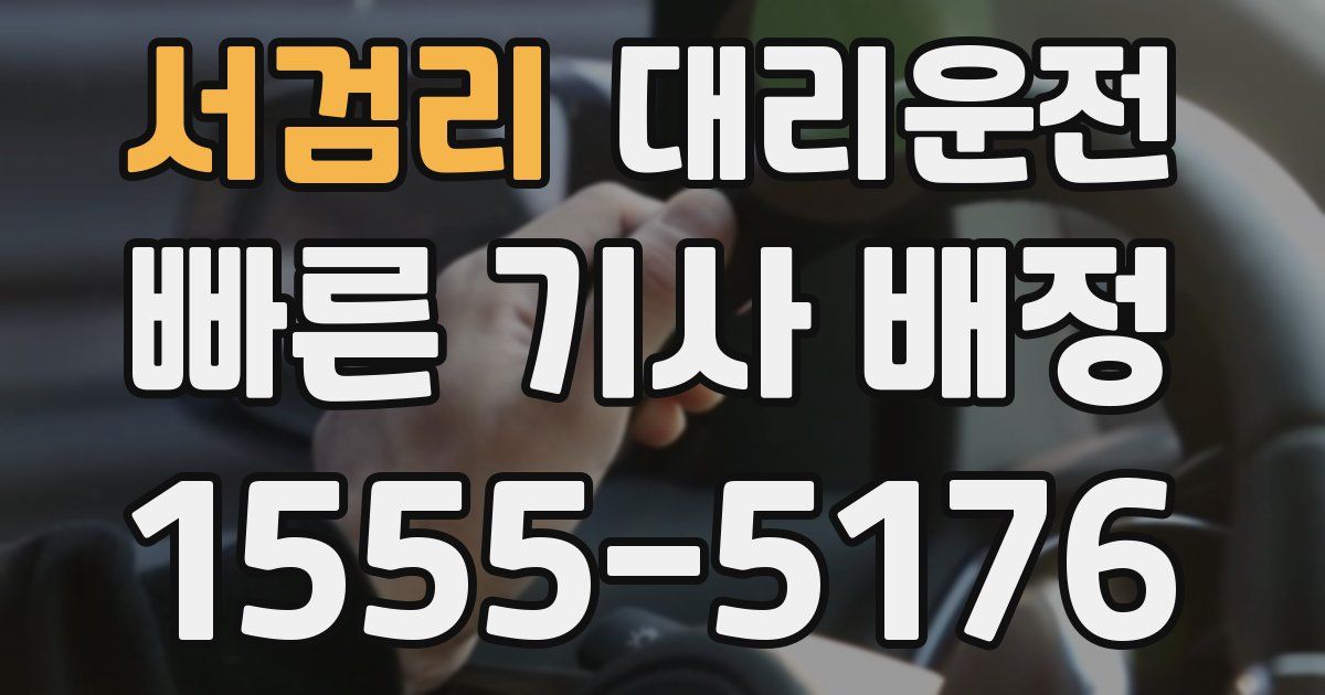 일일대리기사