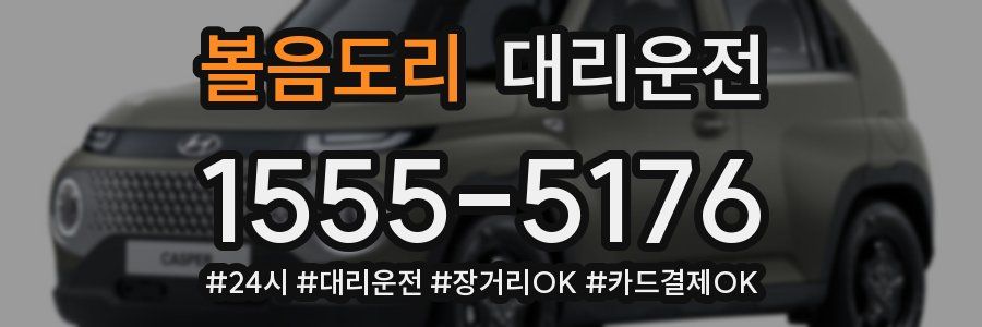 볼음도리 대리운전