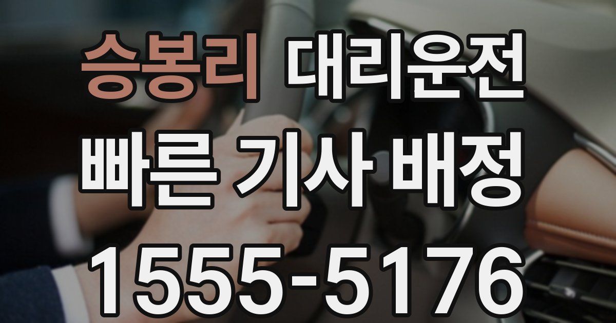 일일대리기사