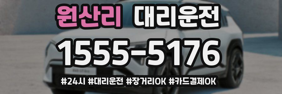 원산리 대리운전