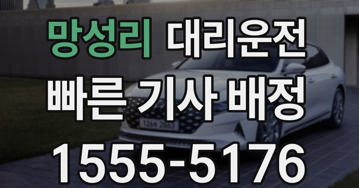 일일대리기사