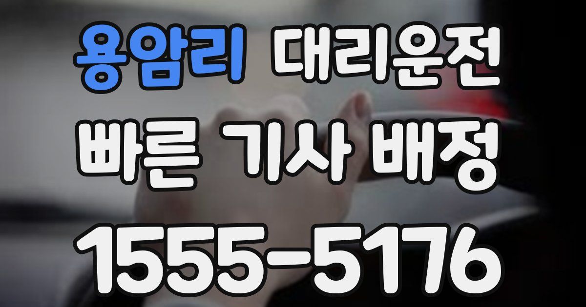 일일대리기사