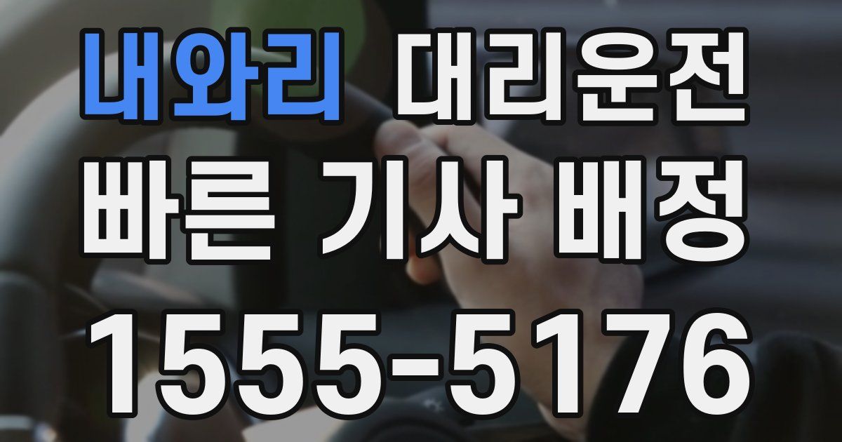 일일대리기사