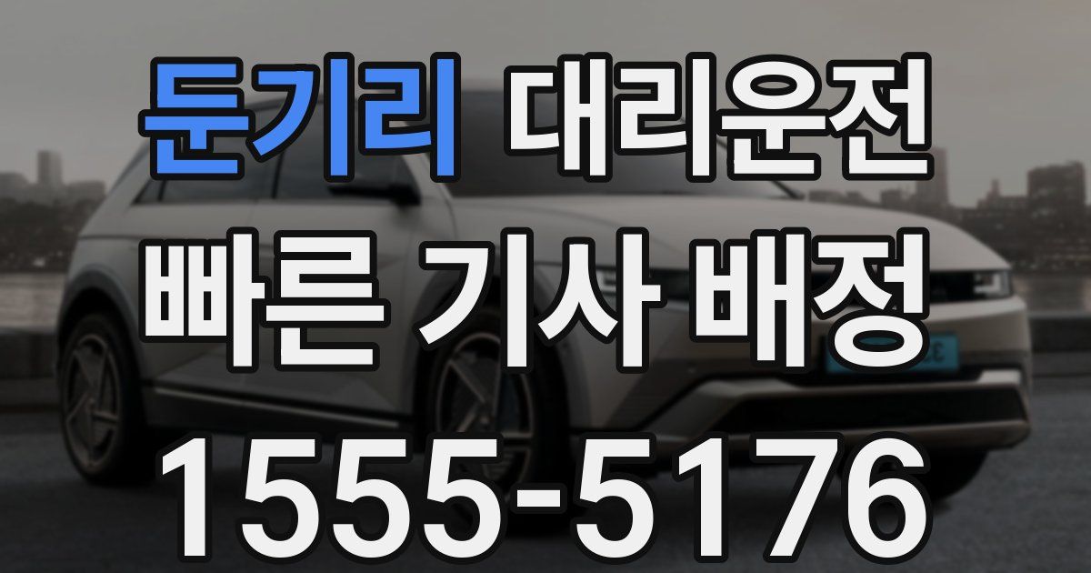 일일대리기사