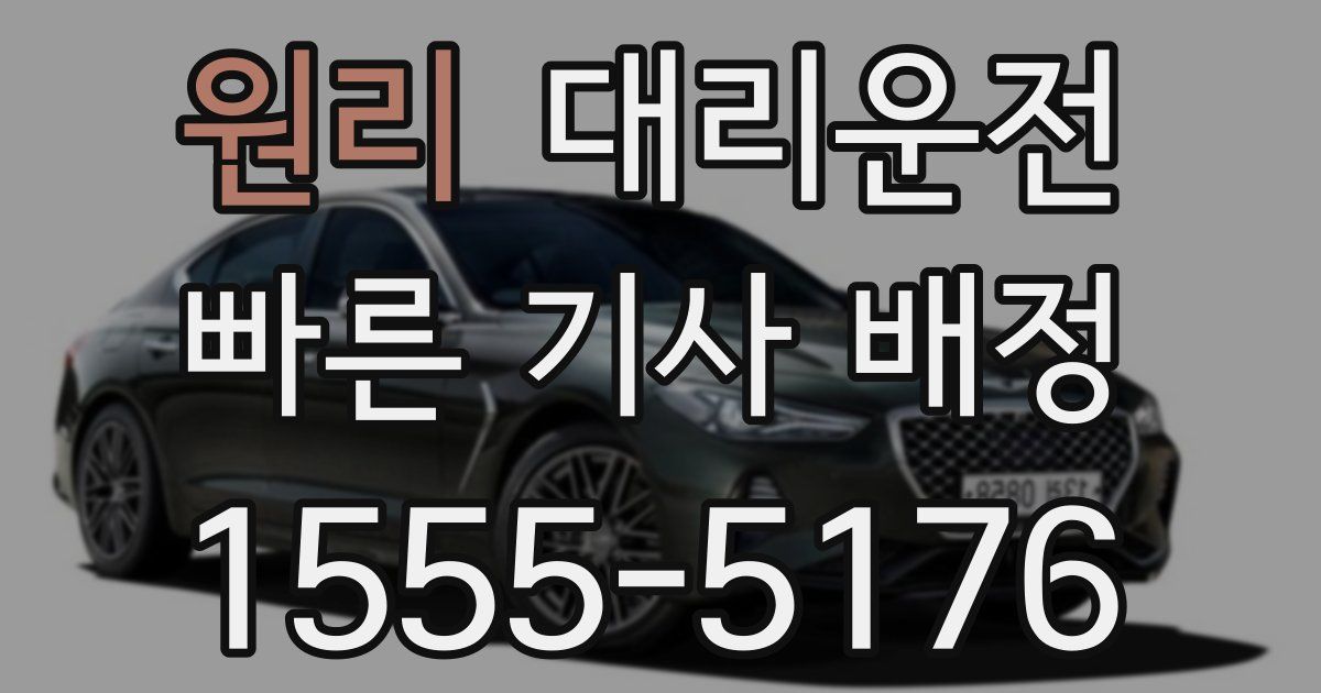 일일대리기사