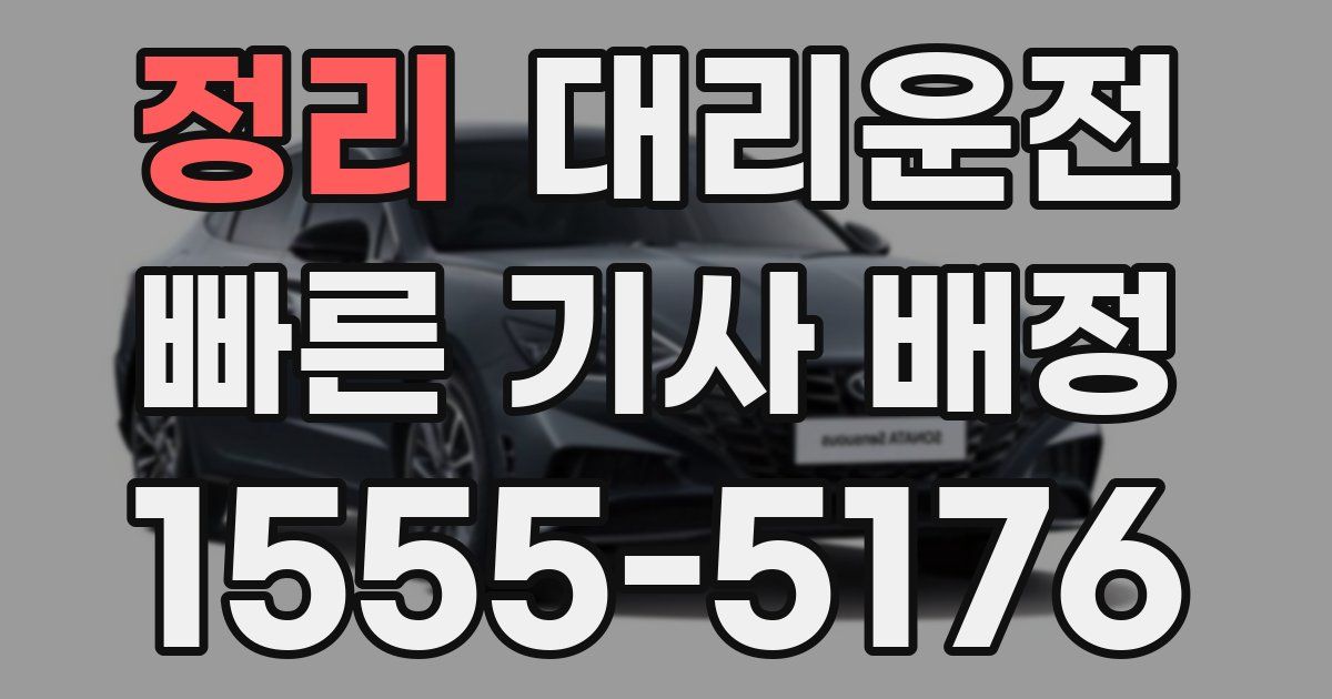 일일대리기사