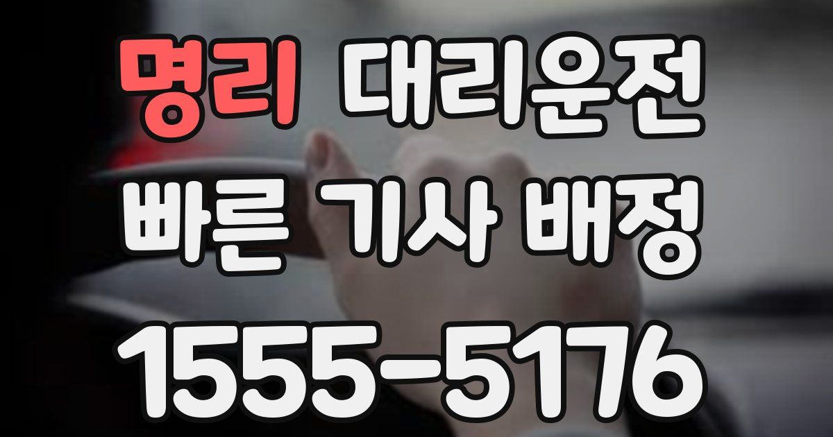 일일대리기사