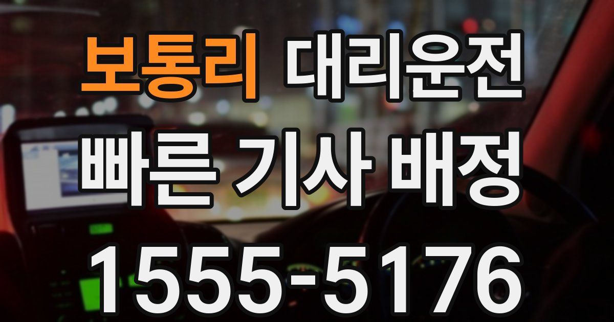 일일대리기사