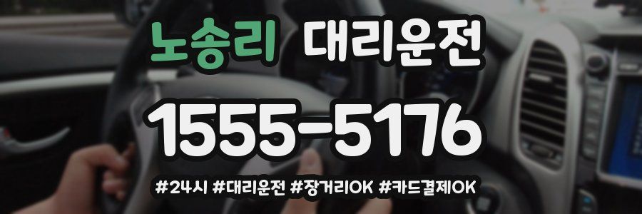 노송리 대리운전