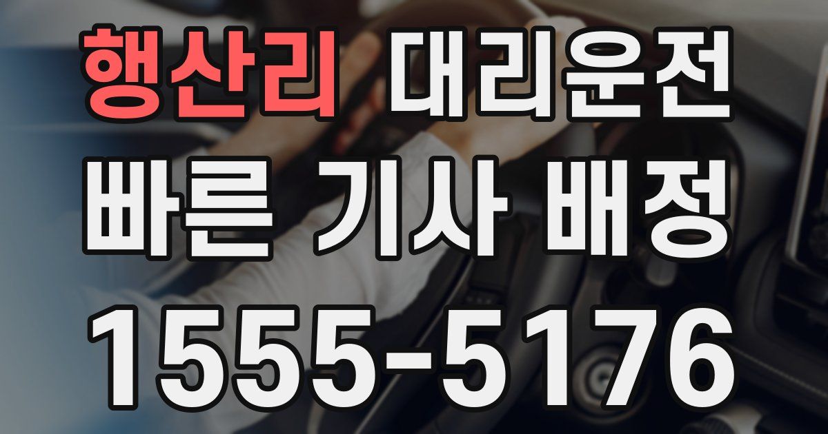 일일대리기사