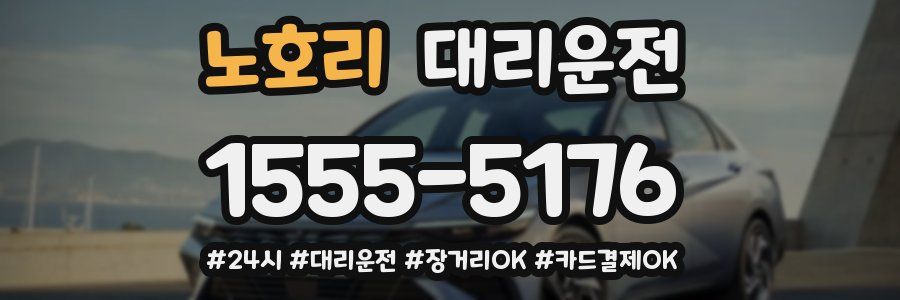 노호리 대리운전